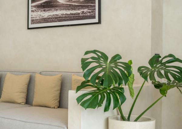 Hotová dizajnová vila s jednou spálňou a privátnym bazénom